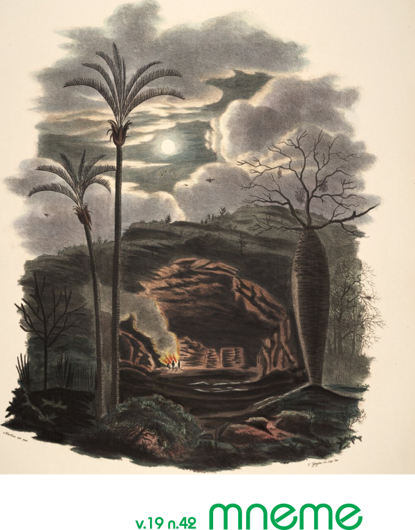 Imagem produzida pelo pesquisador alemão Carl Friedrich Philipp von Martius em que vemos duas palmeiras, uma árvore chamada barriguda e pessoas em uma fogueira