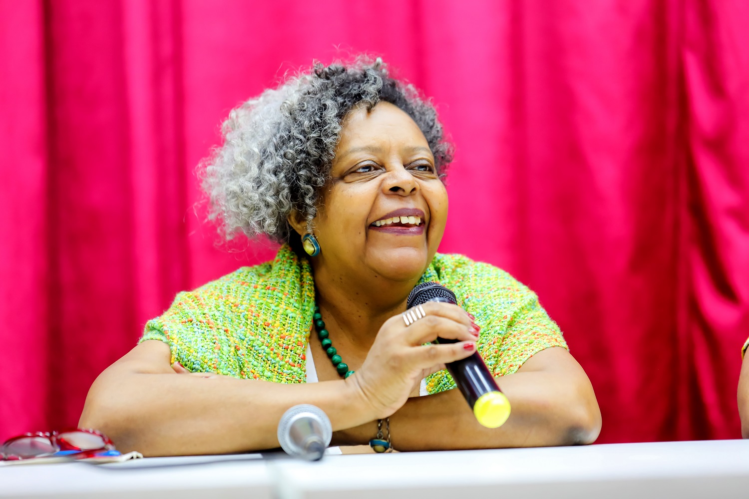 Foto de Matilde Ribeiro - Fonte: https://www.ufs.br/conteudo/71832-ufs-inicia-seminario-nacional-sobre-acoes-afirmativas